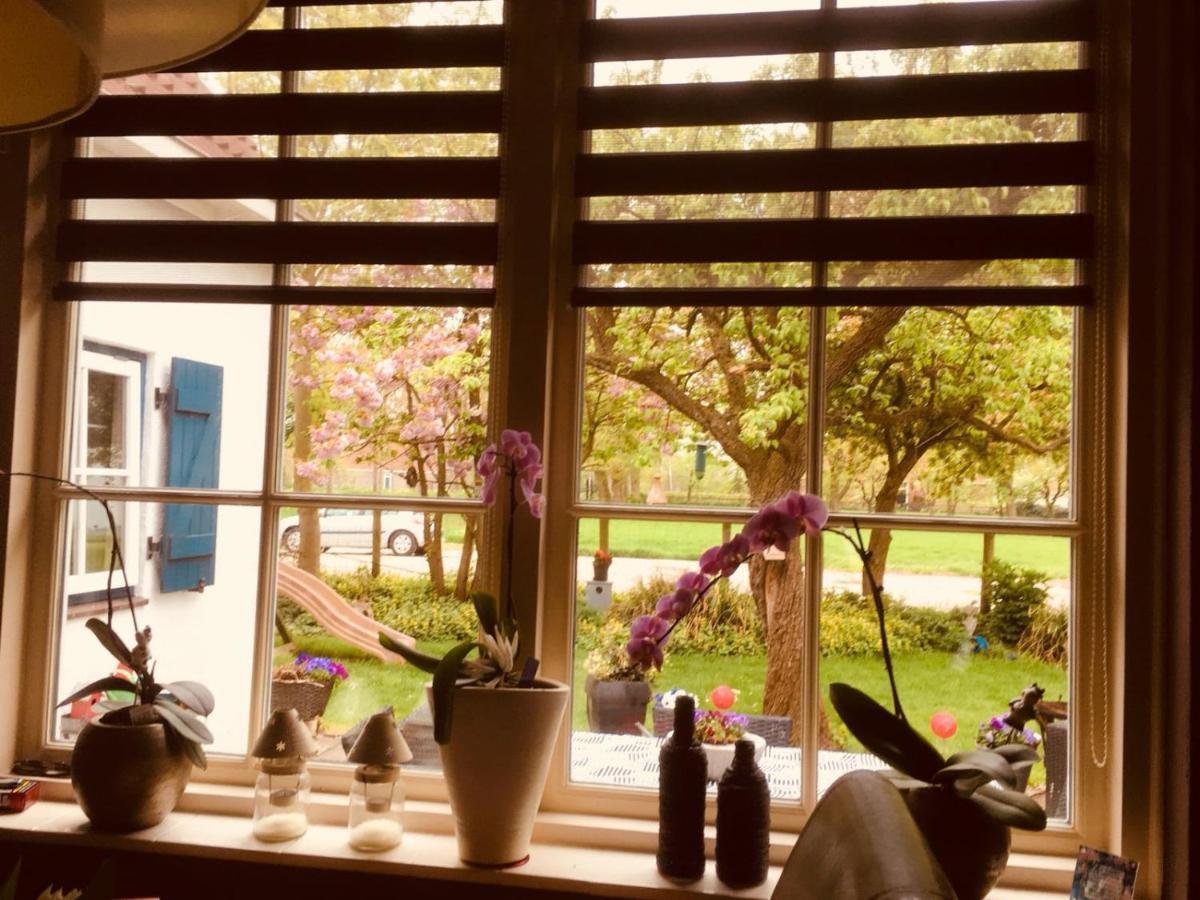 Wijdewormer B&B Marialin מראה חיצוני תמונה